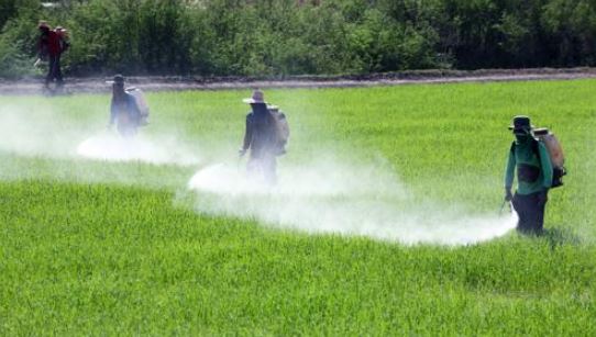 Farmers Spraying Crops in a Field